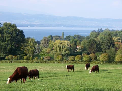 Couvreur Chens-sur-Léman