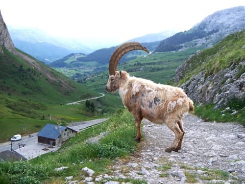 Couvreur Le Reposoir