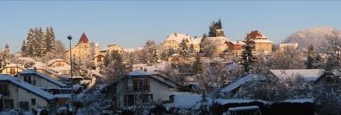 Couvreur Peillonnex